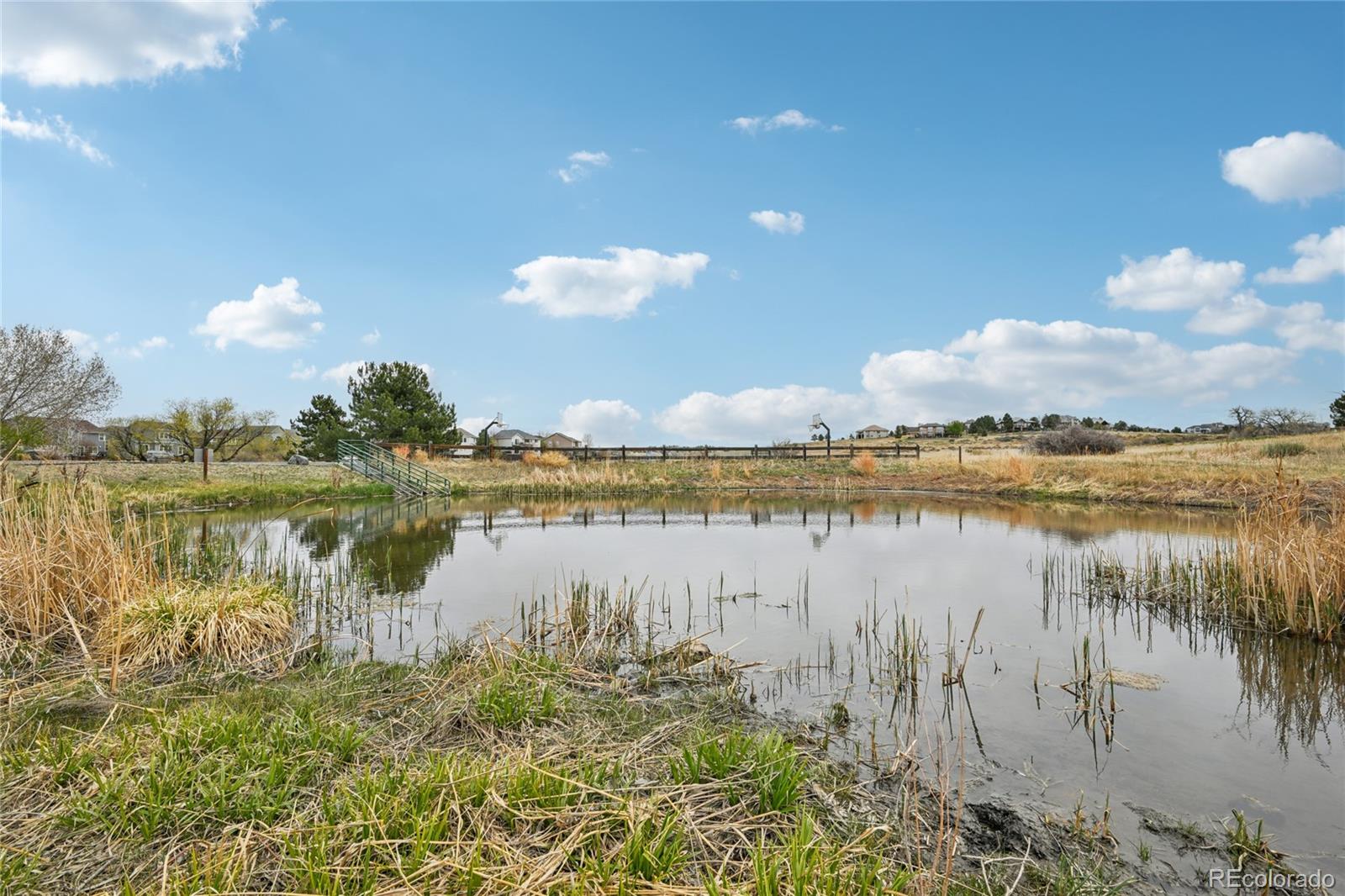 MLS Image #48 for 24081 e royal meadows avenue,parker, Colorado