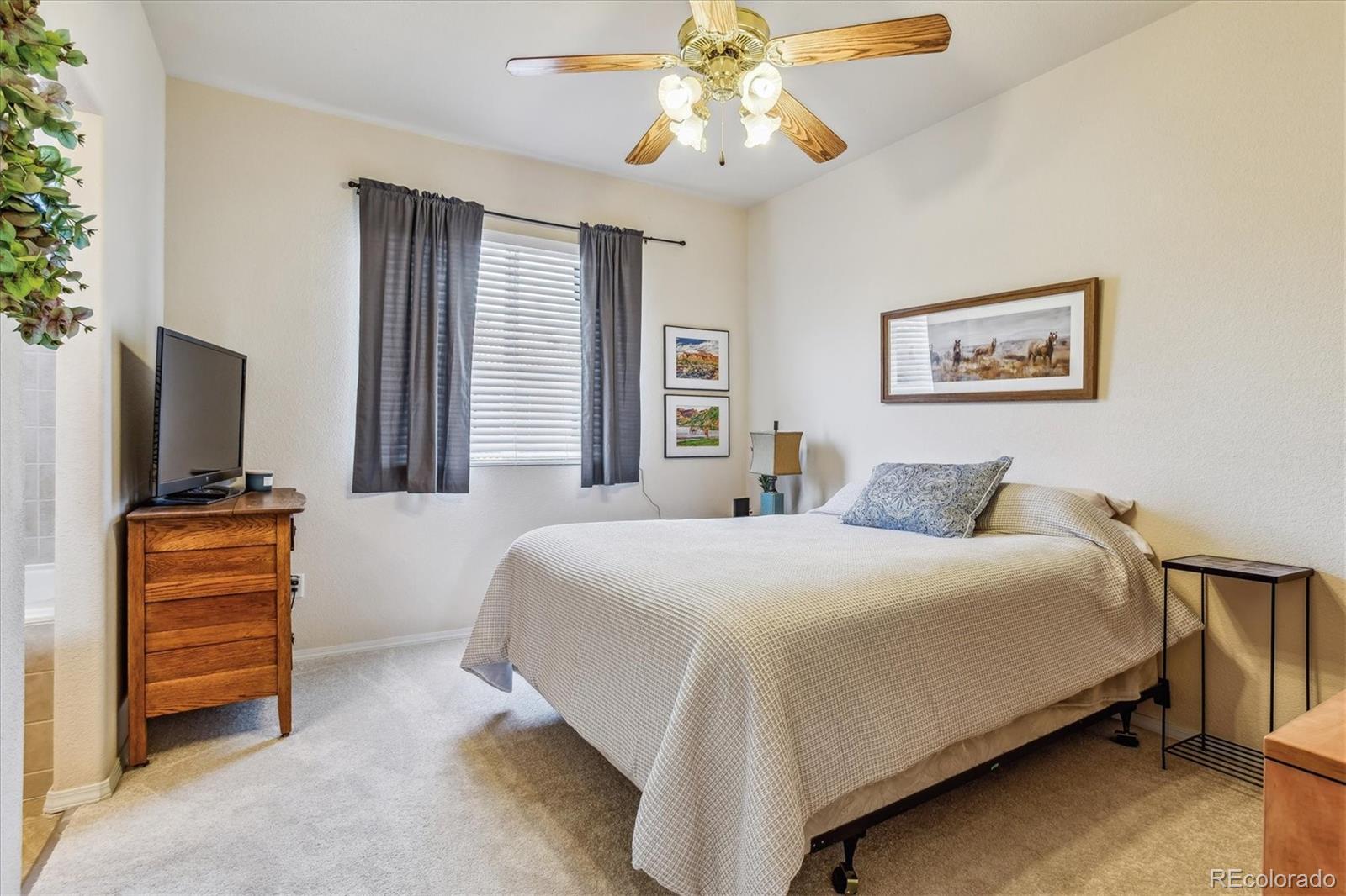 MLS Image #13 for 4789  sand mountain point ,colorado springs, Colorado