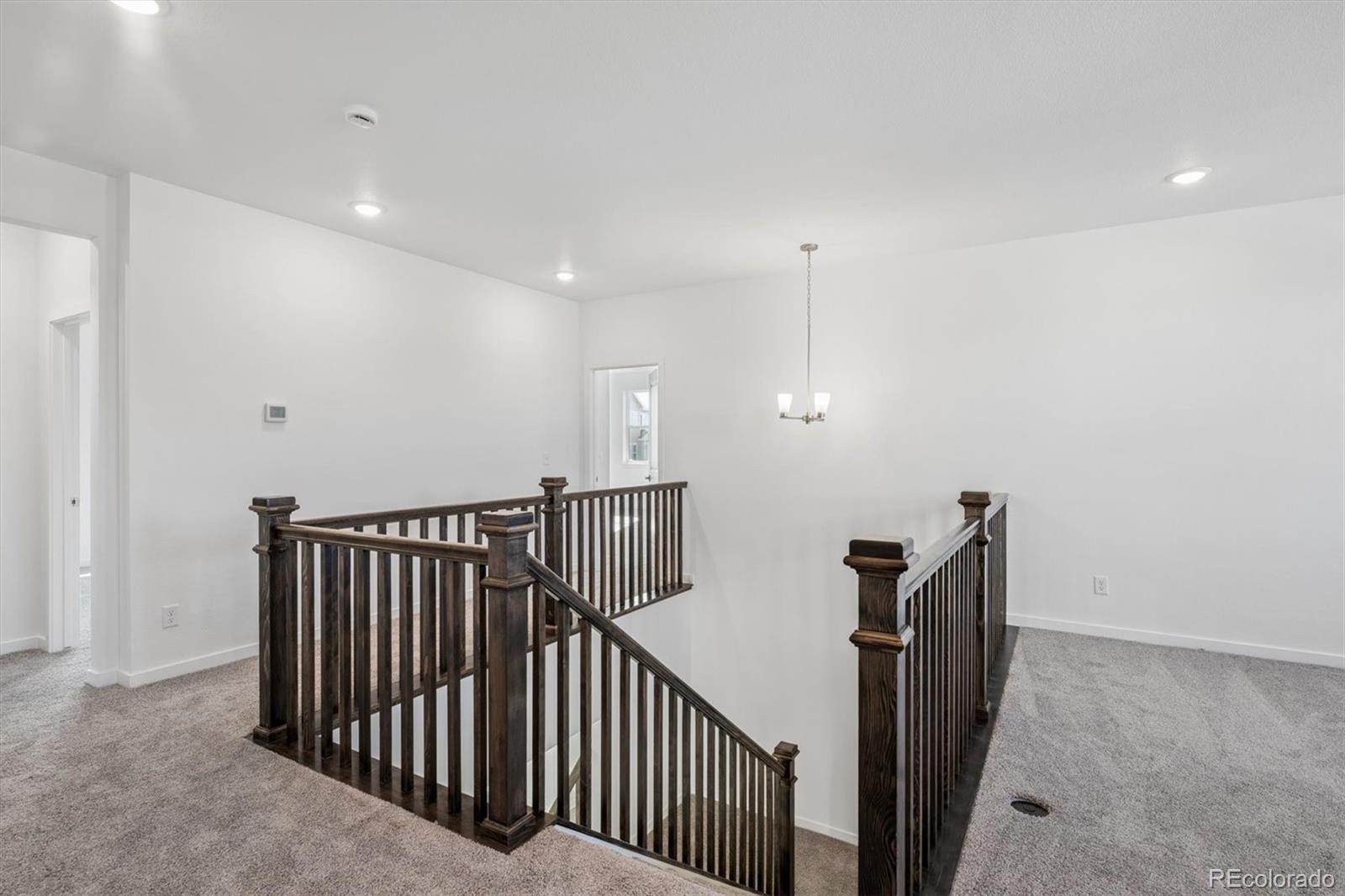MLS Image #15 for 9210  gold lace place,highlands ranch, Colorado