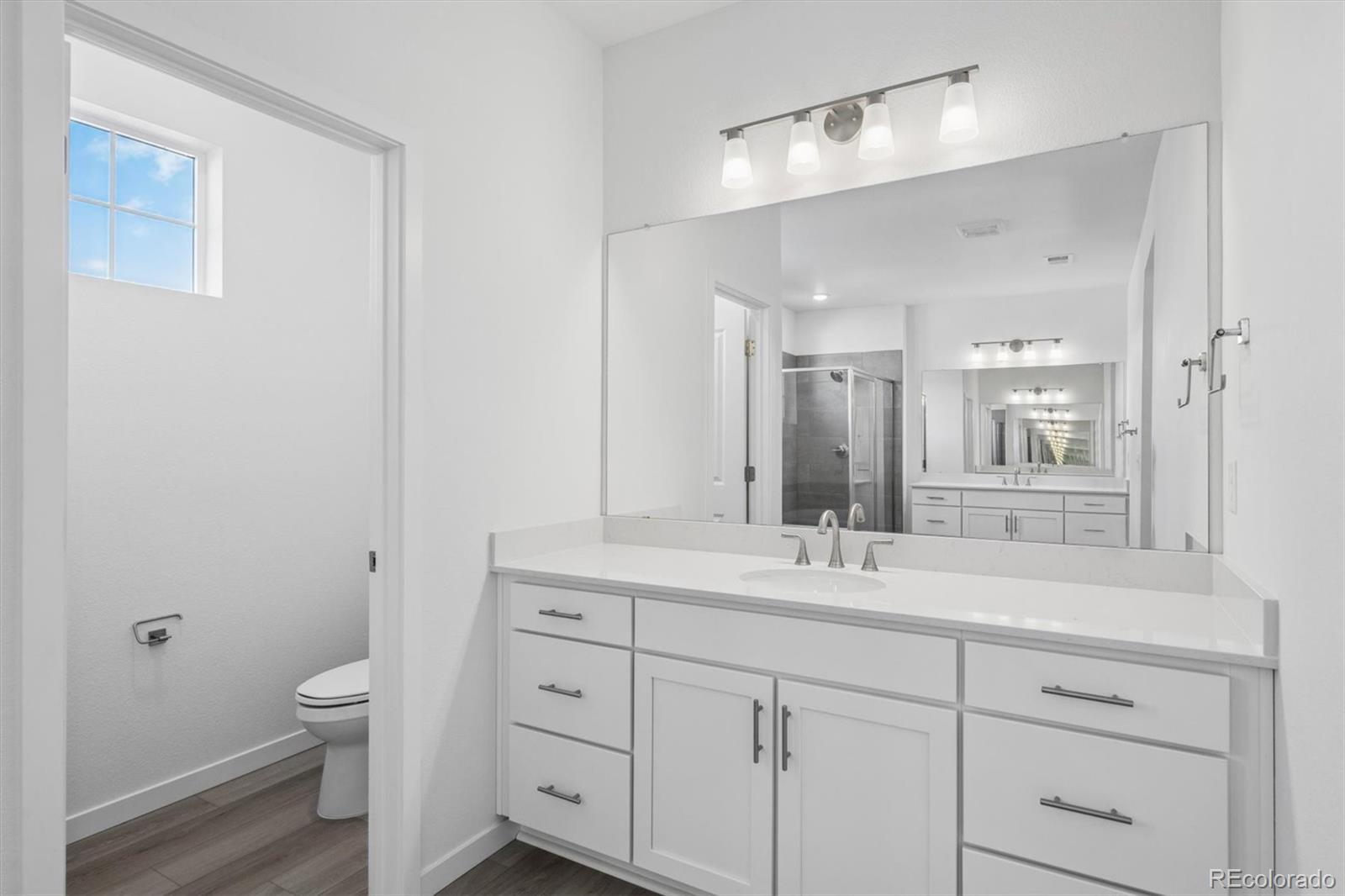 MLS Image #24 for 9210  gold lace place,highlands ranch, Colorado