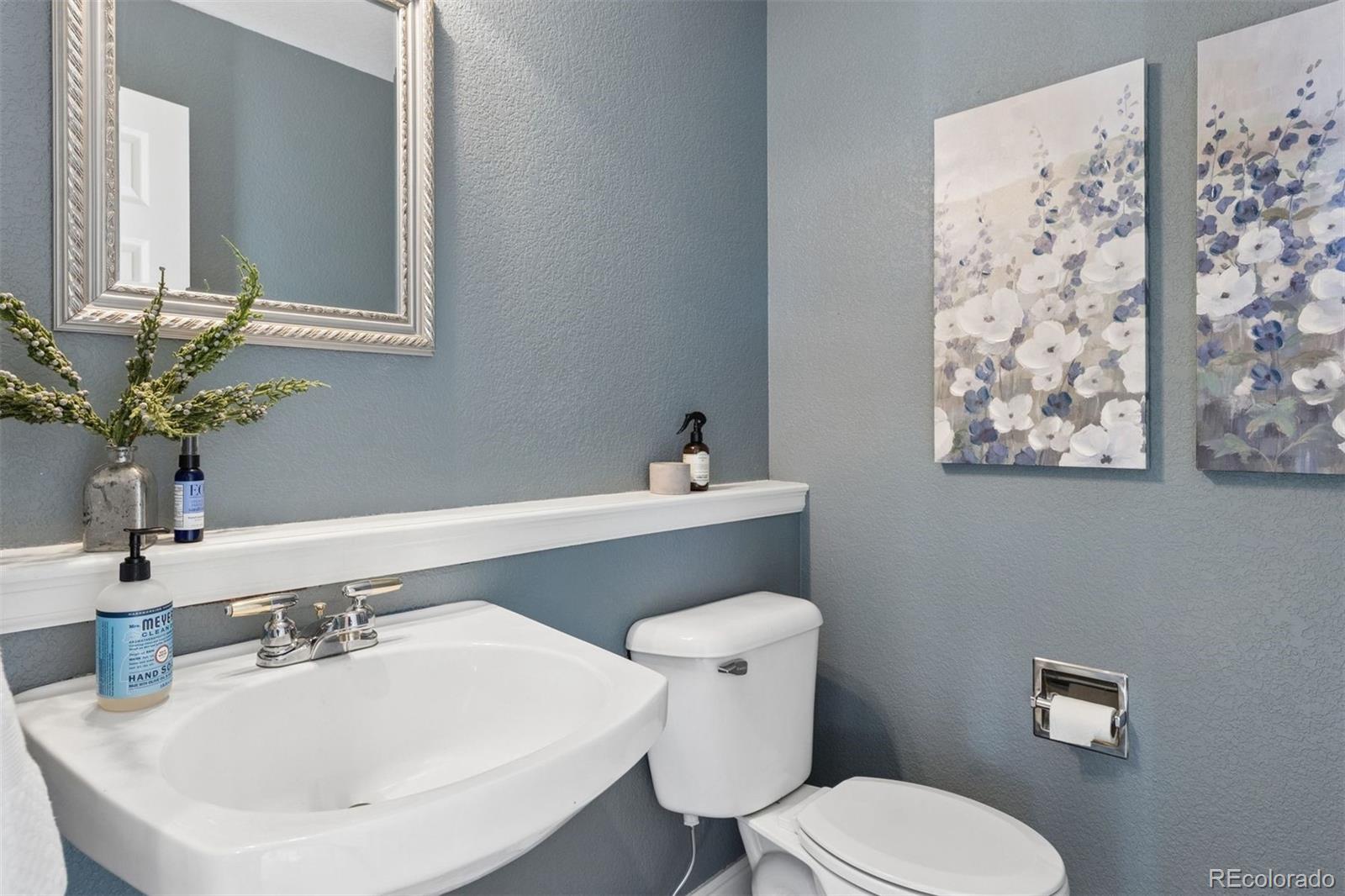 MLS Image #19 for 30889  manitoba drive,evergreen, Colorado