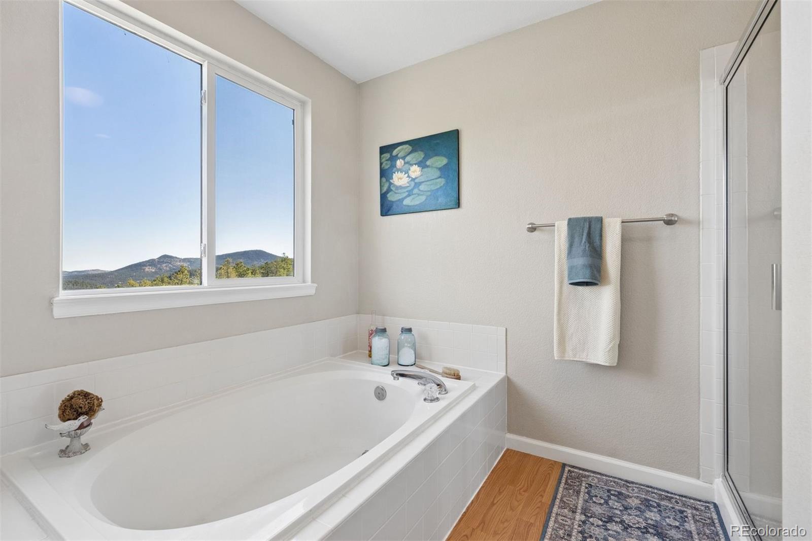 MLS Image #25 for 30889  manitoba drive,evergreen, Colorado