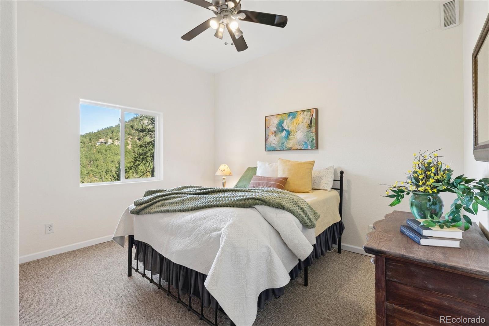 MLS Image #36 for 30889  manitoba drive,evergreen, Colorado