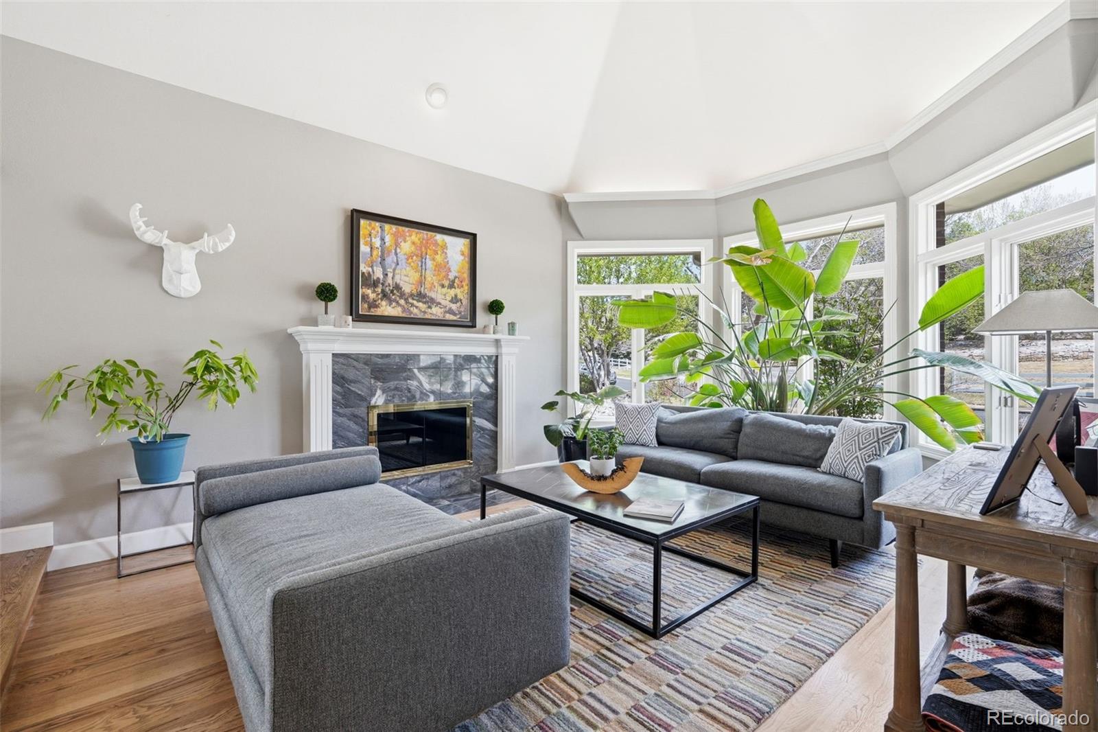 MLS Image #12 for 77  falcon hills drive,highlands ranch, Colorado