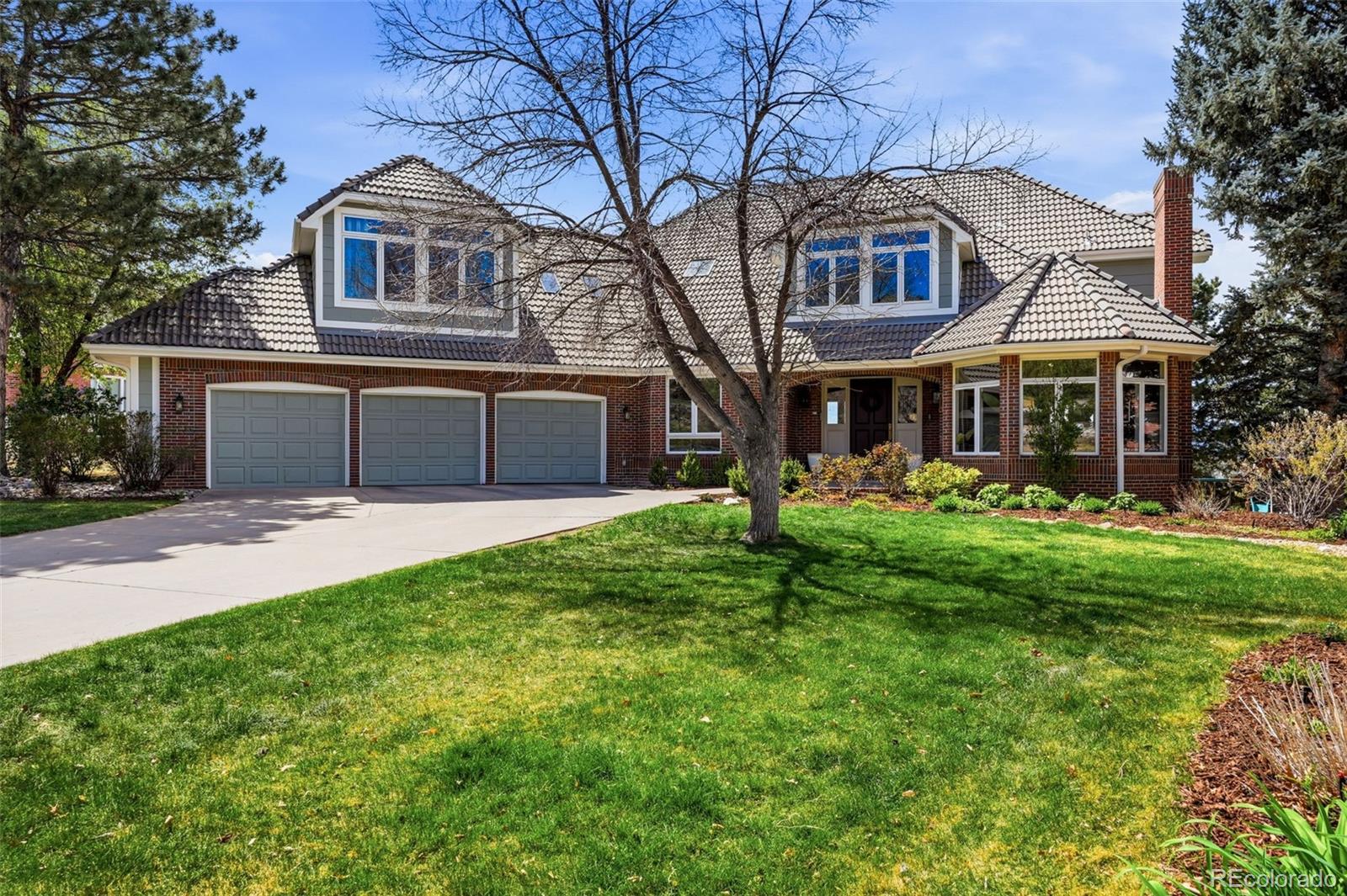 MLS Image #4 for 77  falcon hills drive,highlands ranch, Colorado