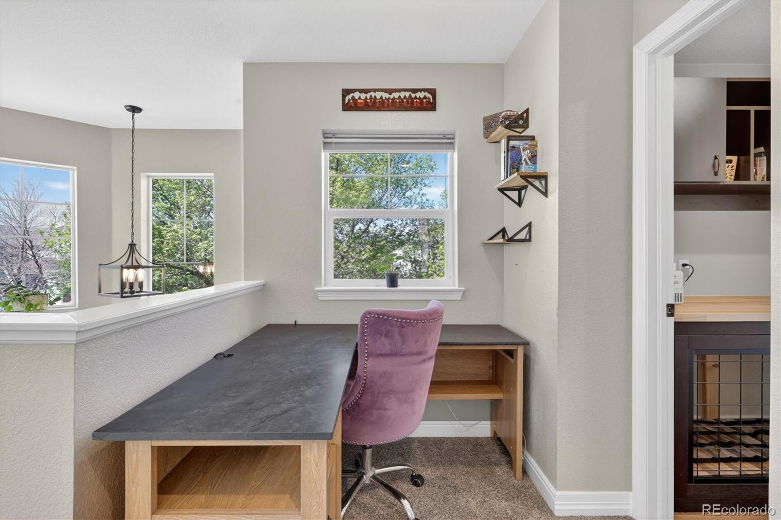 MLS Image #13 for 5121  minnow lane,broomfield, Colorado