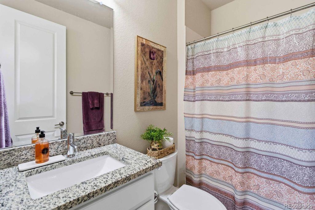 MLS Image #13 for 88  ardmore street,castle rock, Colorado