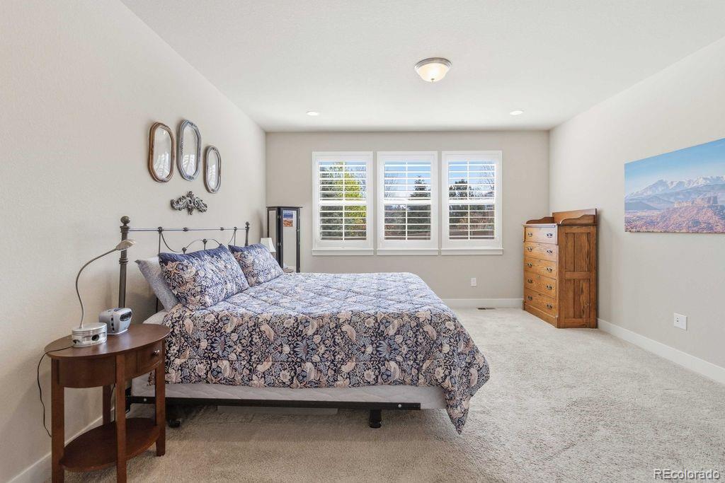 MLS Image #16 for 88  ardmore street,castle rock, Colorado