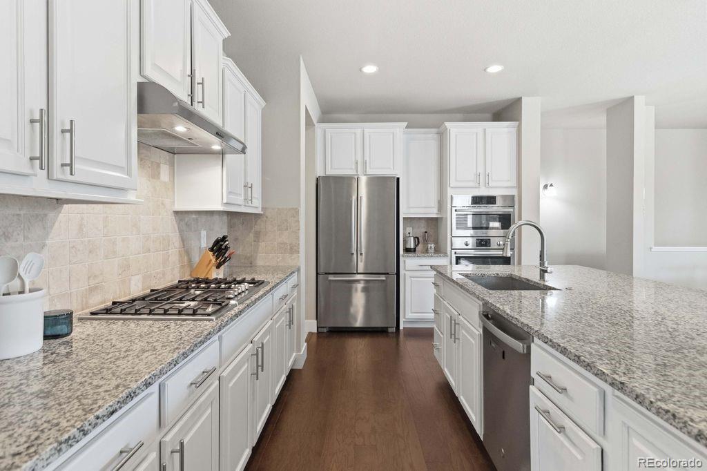MLS Image #5 for 88  ardmore street,castle rock, Colorado