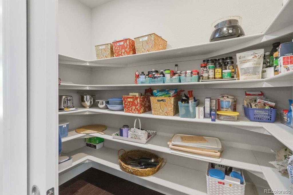 MLS Image #8 for 88  ardmore street,castle rock, Colorado