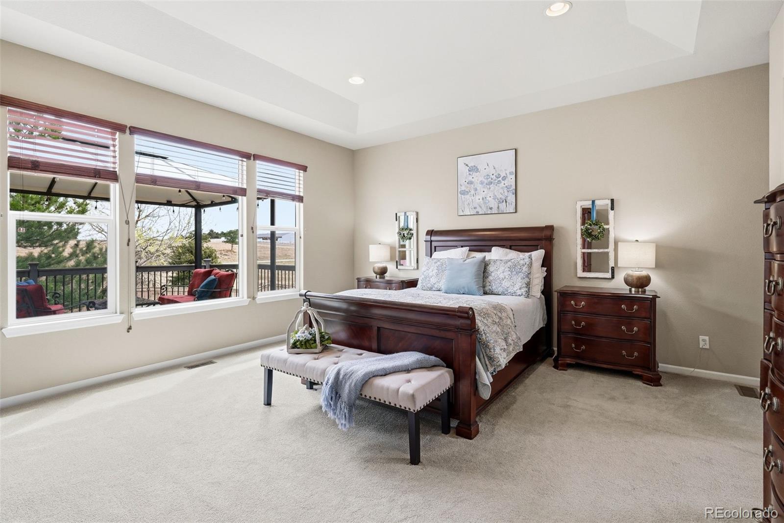 MLS Image #19 for 12200  churchhill court,parker, Colorado