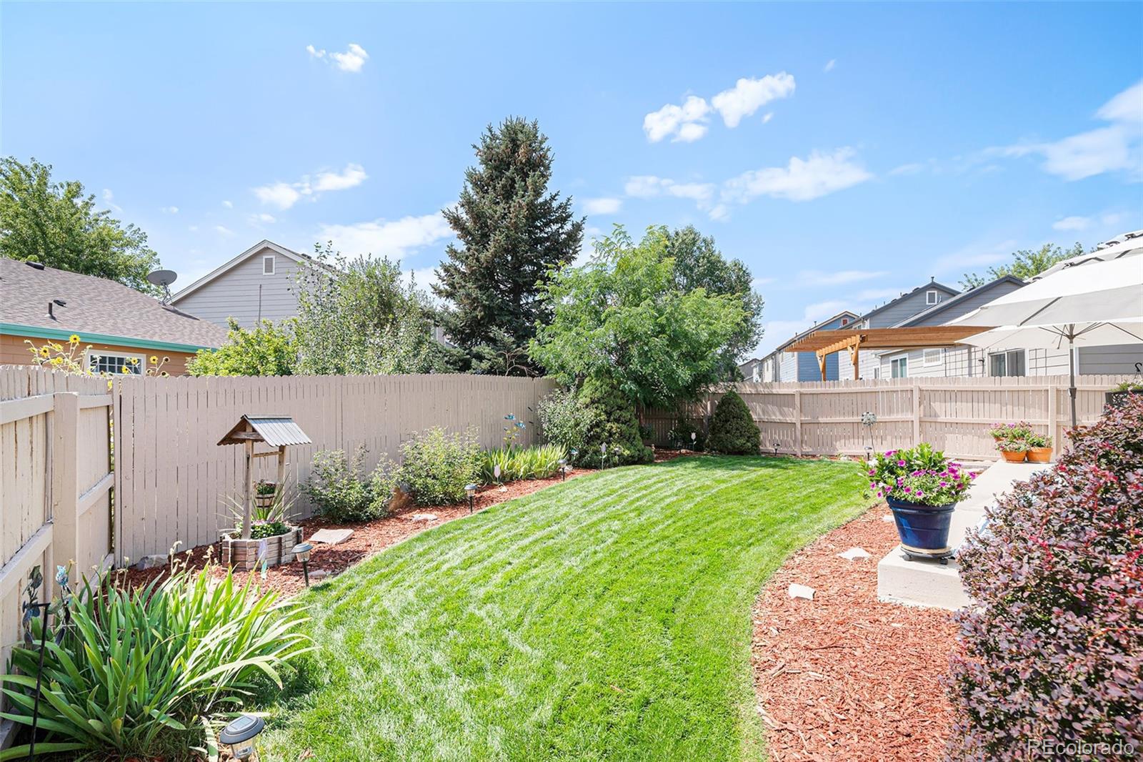 MLS Image #6 for 5418  suffolk circle,castle rock, Colorado