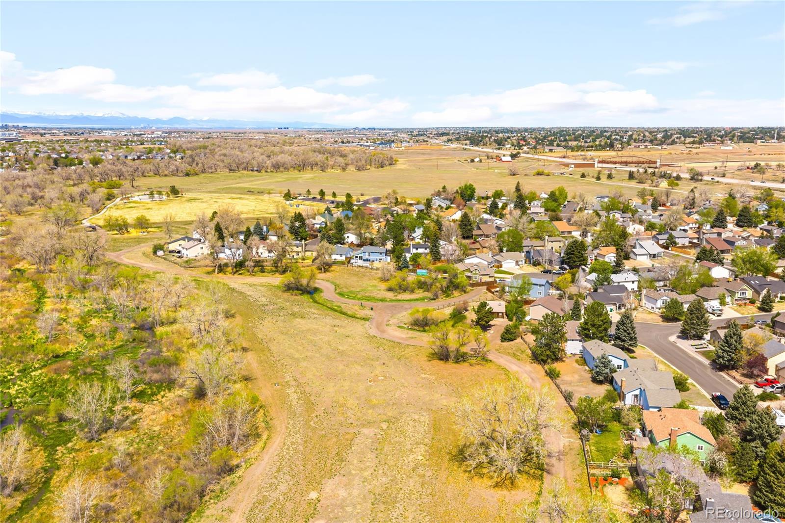 MLS Image #35 for 17607  junegrass place,parker, Colorado