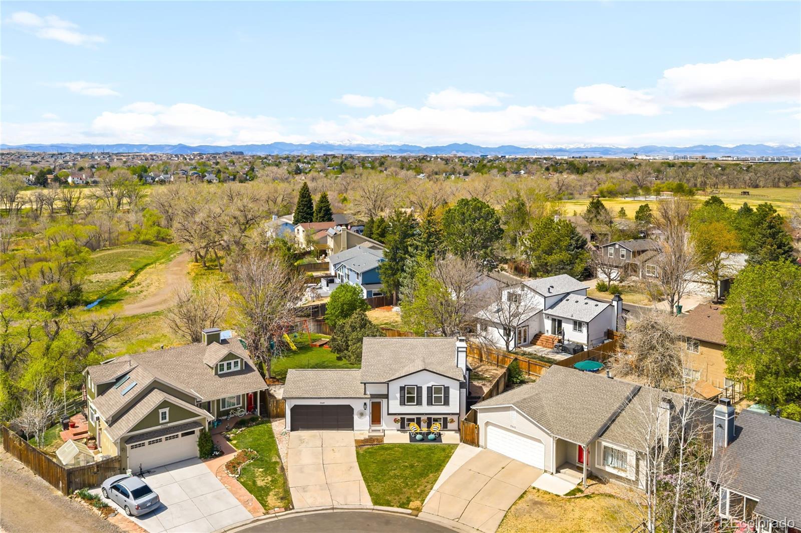 MLS Image #4 for 17607  junegrass place,parker, Colorado