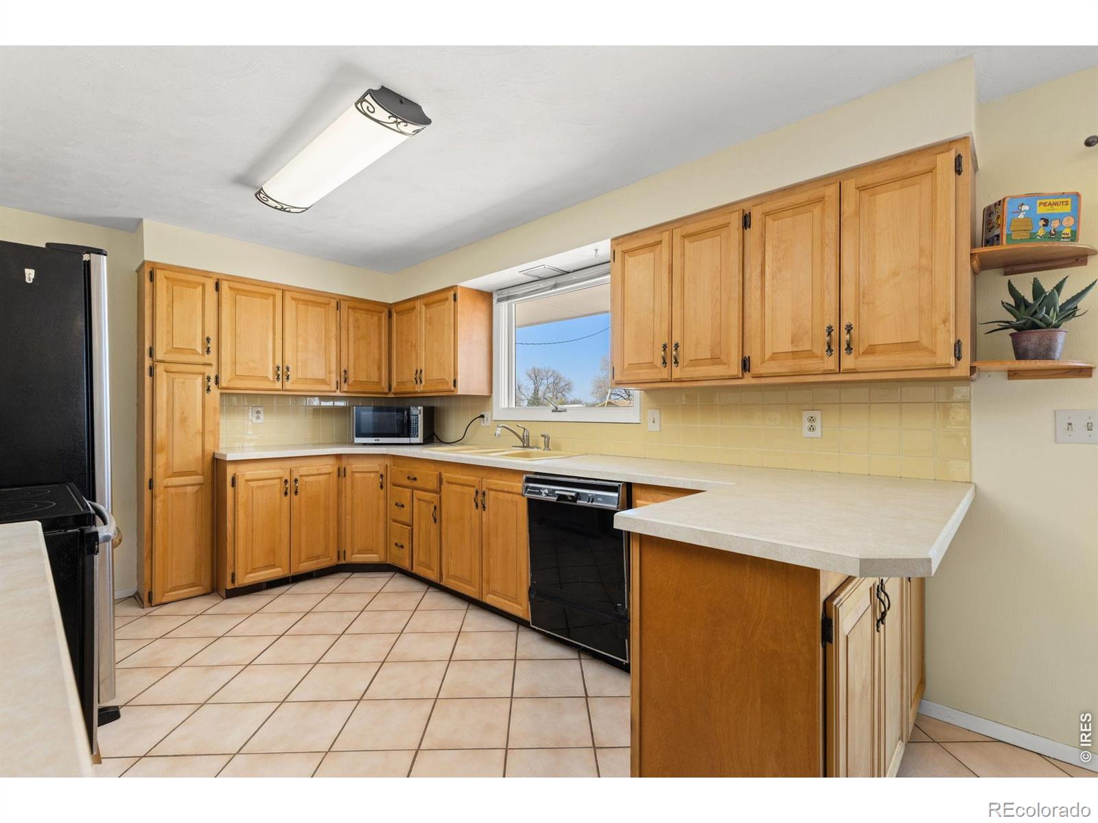 MLS Image #7 for 218  bothun road,berthoud, Colorado