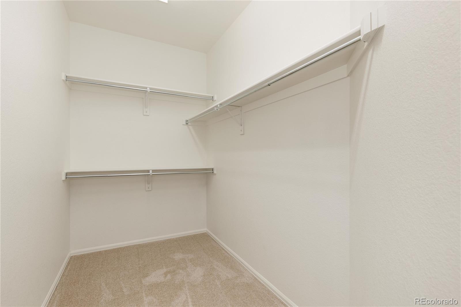 MLS Image #14 for 3918  desert ridge circle,castle rock, Colorado