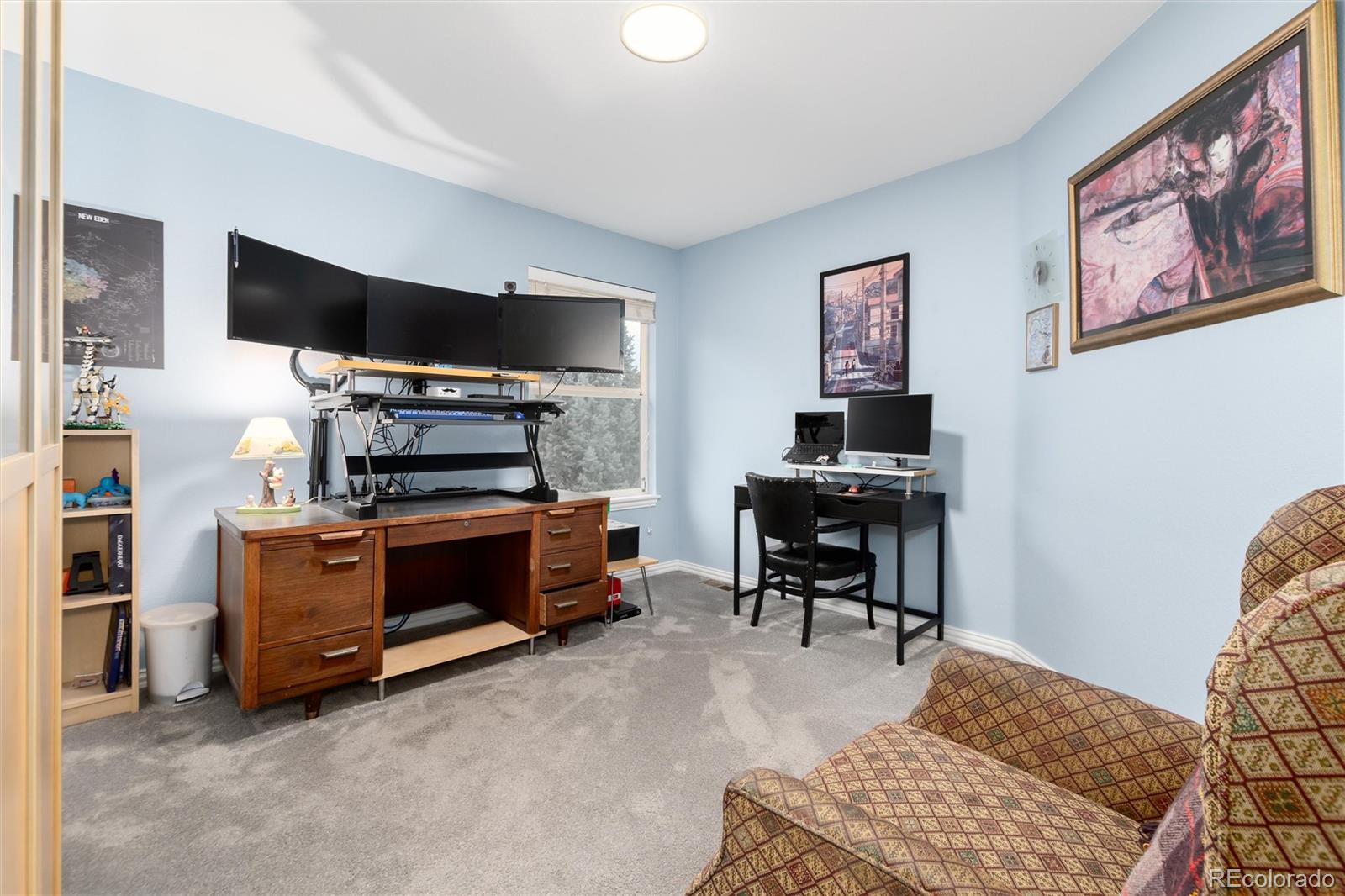 MLS Image #30 for 9798  sylvestor road,highlands ranch, Colorado