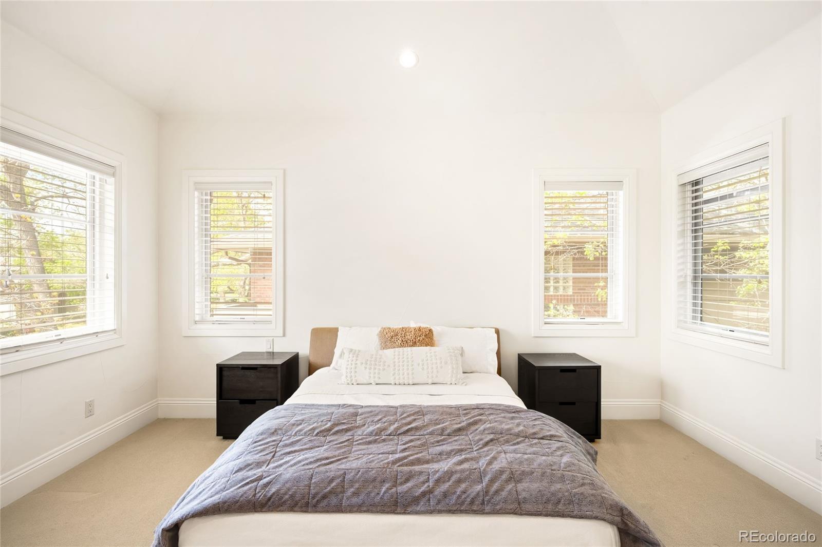 MLS Image #39 for 322  adams street ,denver, Colorado