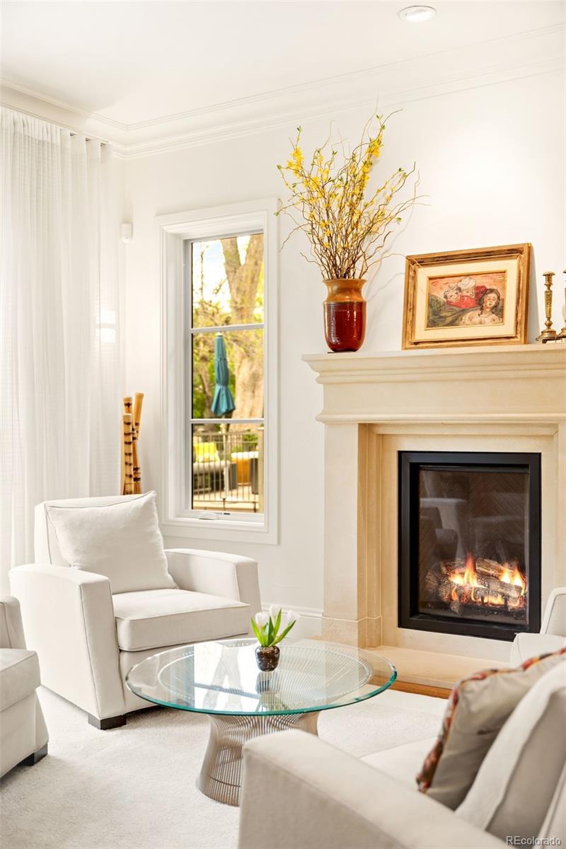 MLS Image #5 for 322  adams street ,denver, Colorado