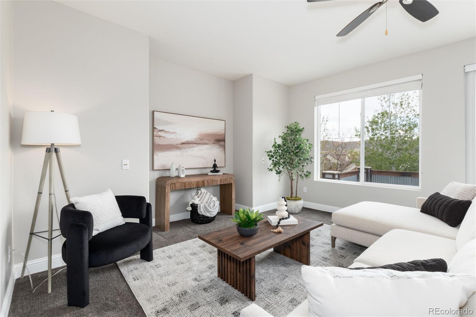MLS Image #20 for 2062  coach house loop,castle rock, Colorado