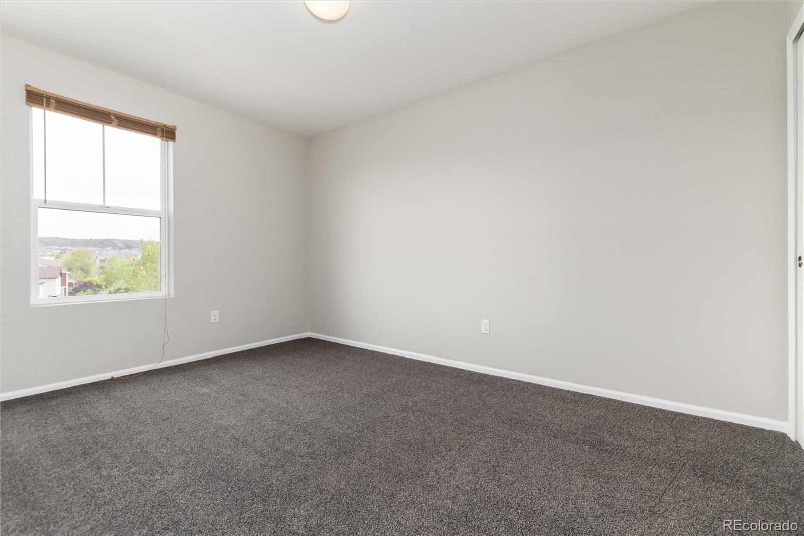 MLS Image #31 for 2062  coach house loop,castle rock, Colorado