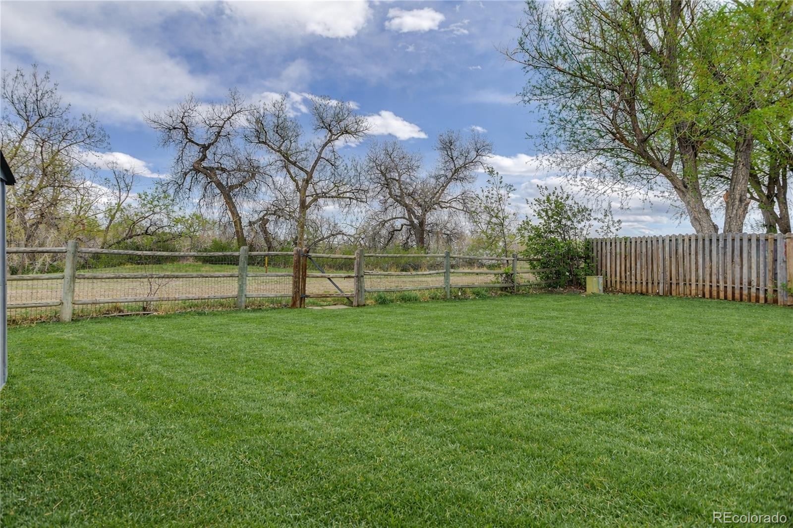 MLS Image #40 for 8396  wheatgrass circle,parker, Colorado