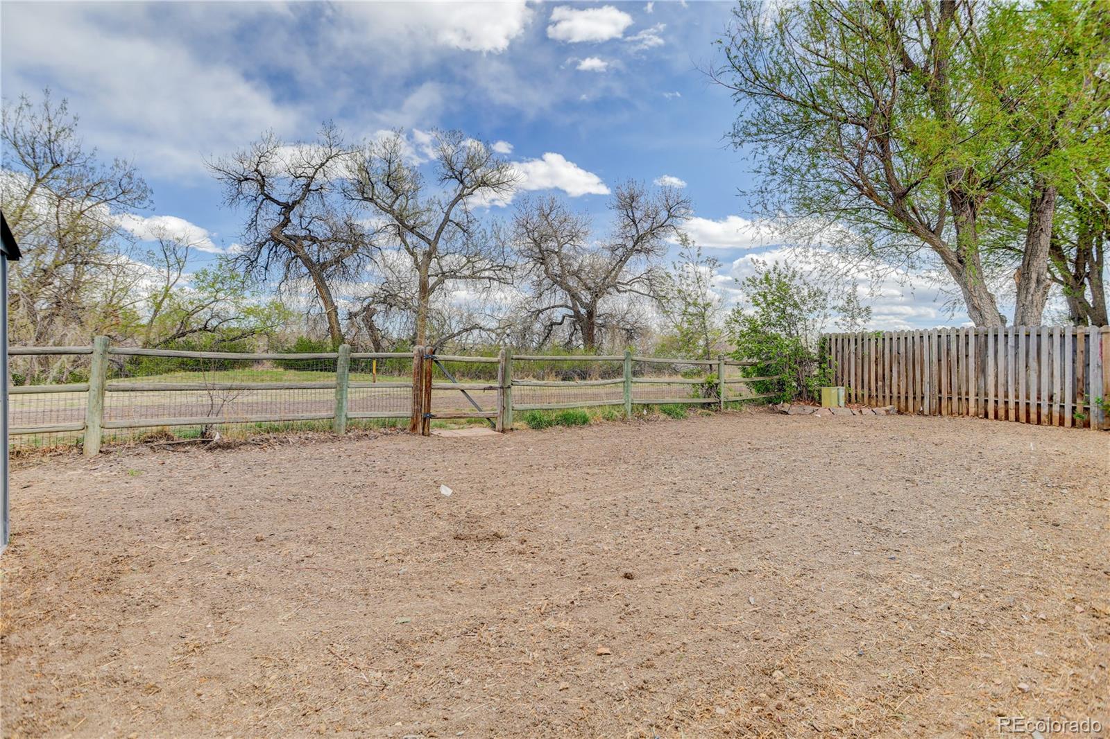 MLS Image #41 for 8396  wheatgrass circle,parker, Colorado