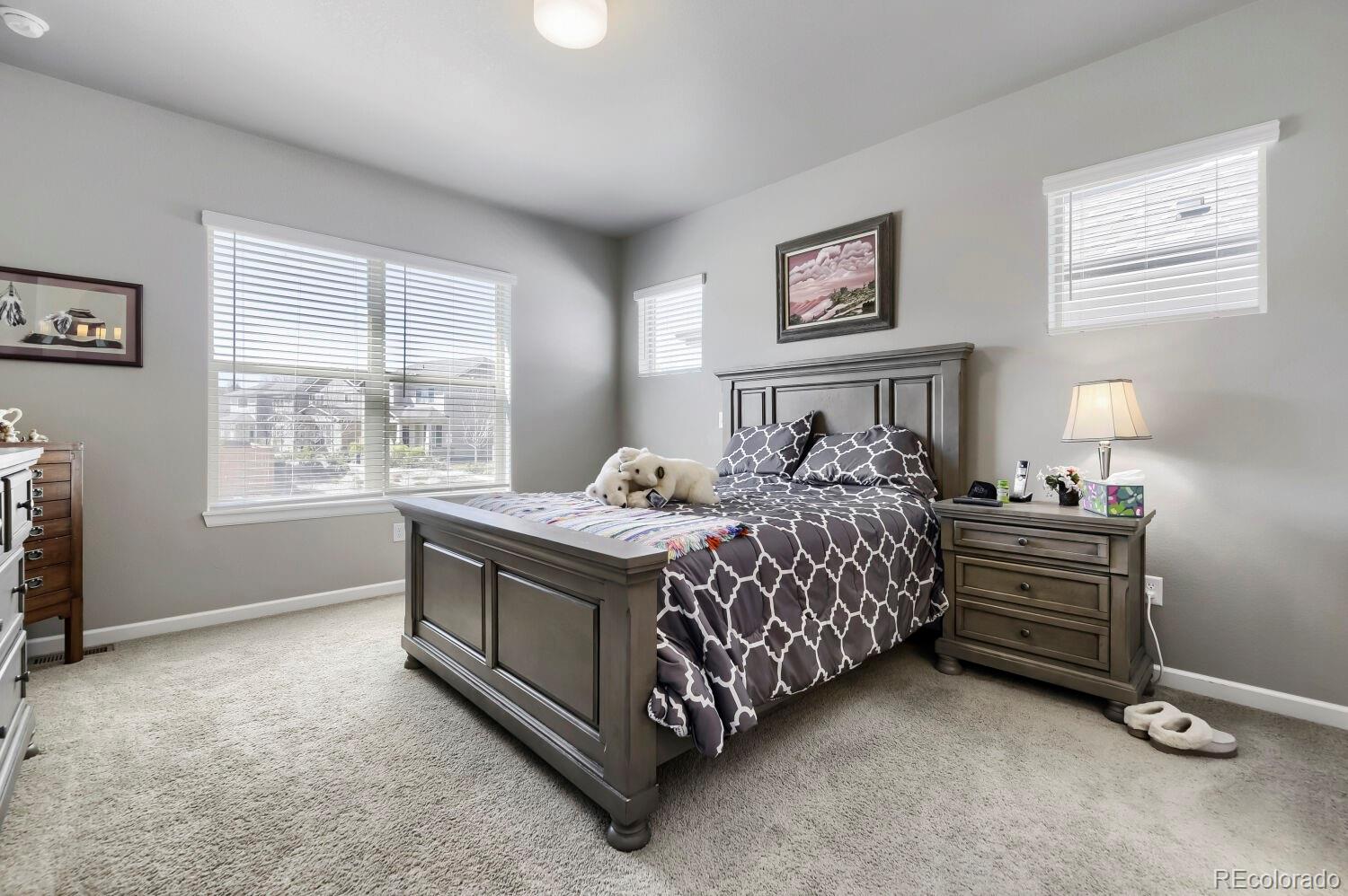 MLS Image #12 for 6712  sea oats drive,parker, Colorado