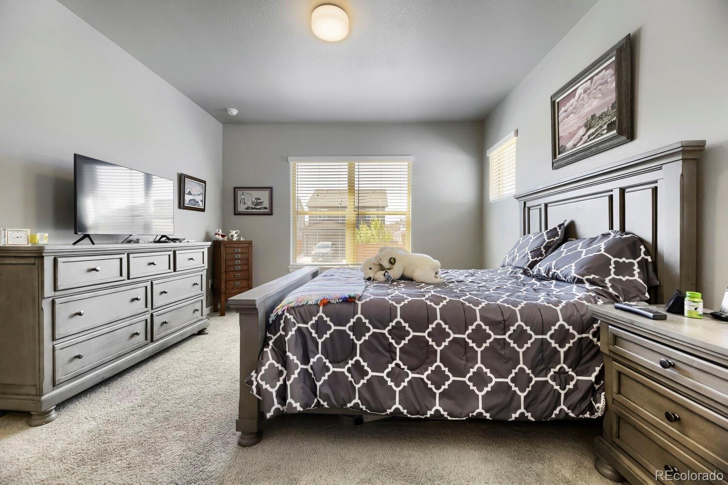 MLS Image #13 for 6712  sea oats drive,parker, Colorado