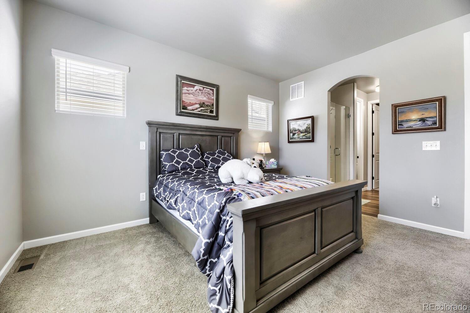 MLS Image #14 for 6712  sea oats drive,parker, Colorado