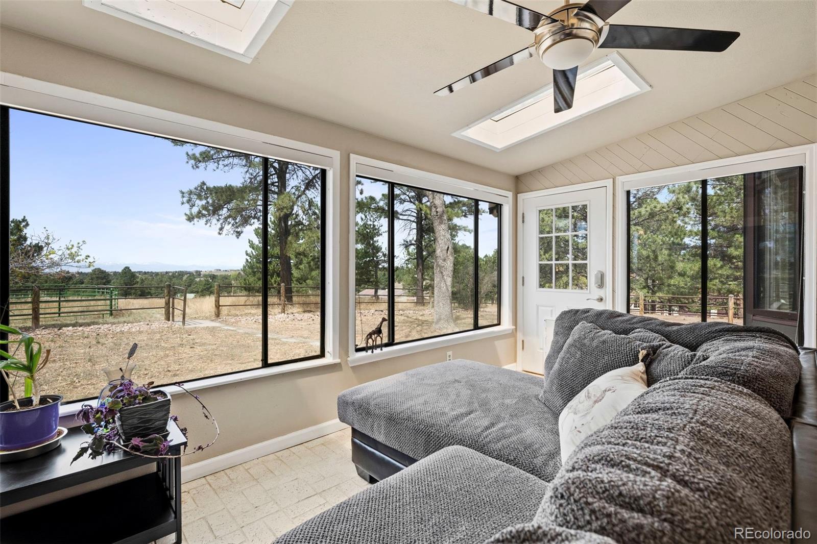 MLS Image #14 for 12715  roundup road,parker, Colorado