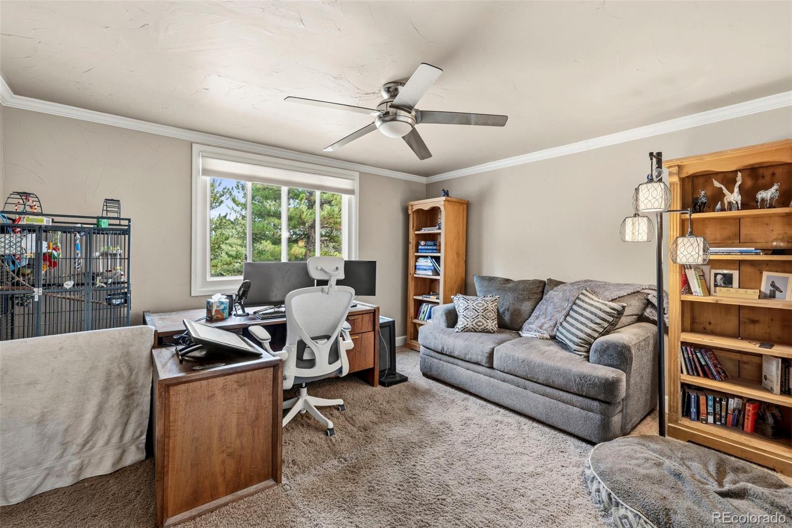 MLS Image #17 for 12715  roundup road,parker, Colorado