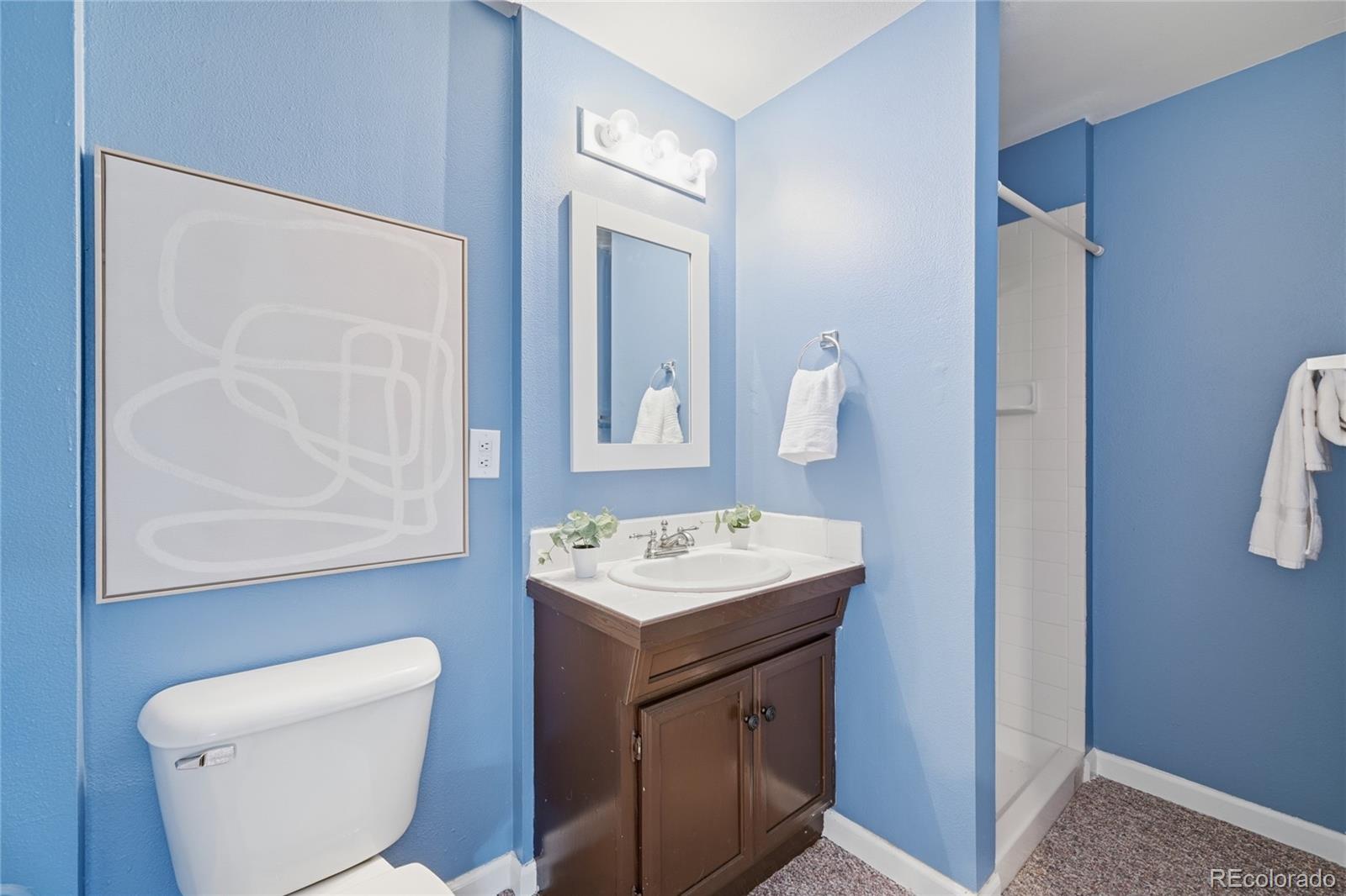 MLS Image #46 for 30115  roan drive,evergreen, Colorado