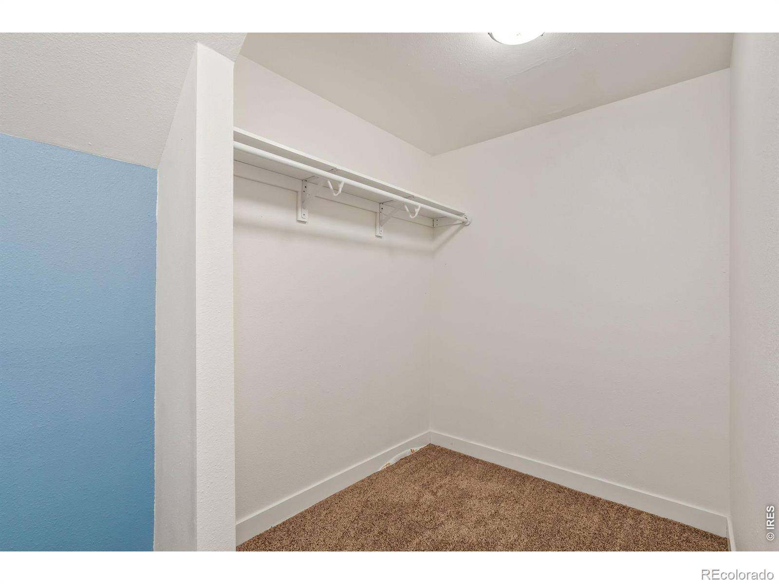 MLS Image #30 for 3201  meadowlark avenue,fort collins, Colorado