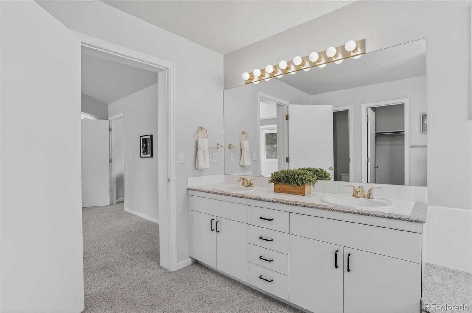 MLS Image #25 for 5156 e weaver drive,centennial, Colorado