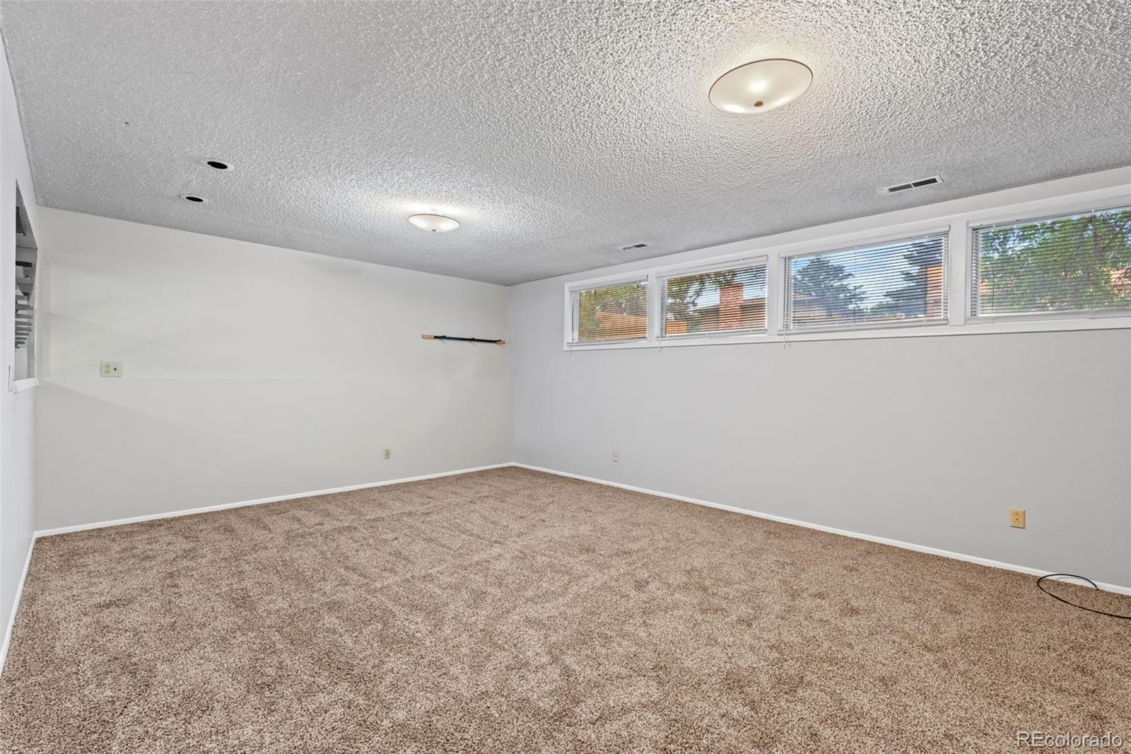 MLS Image #10 for 3707  lander lane,colorado springs, Colorado