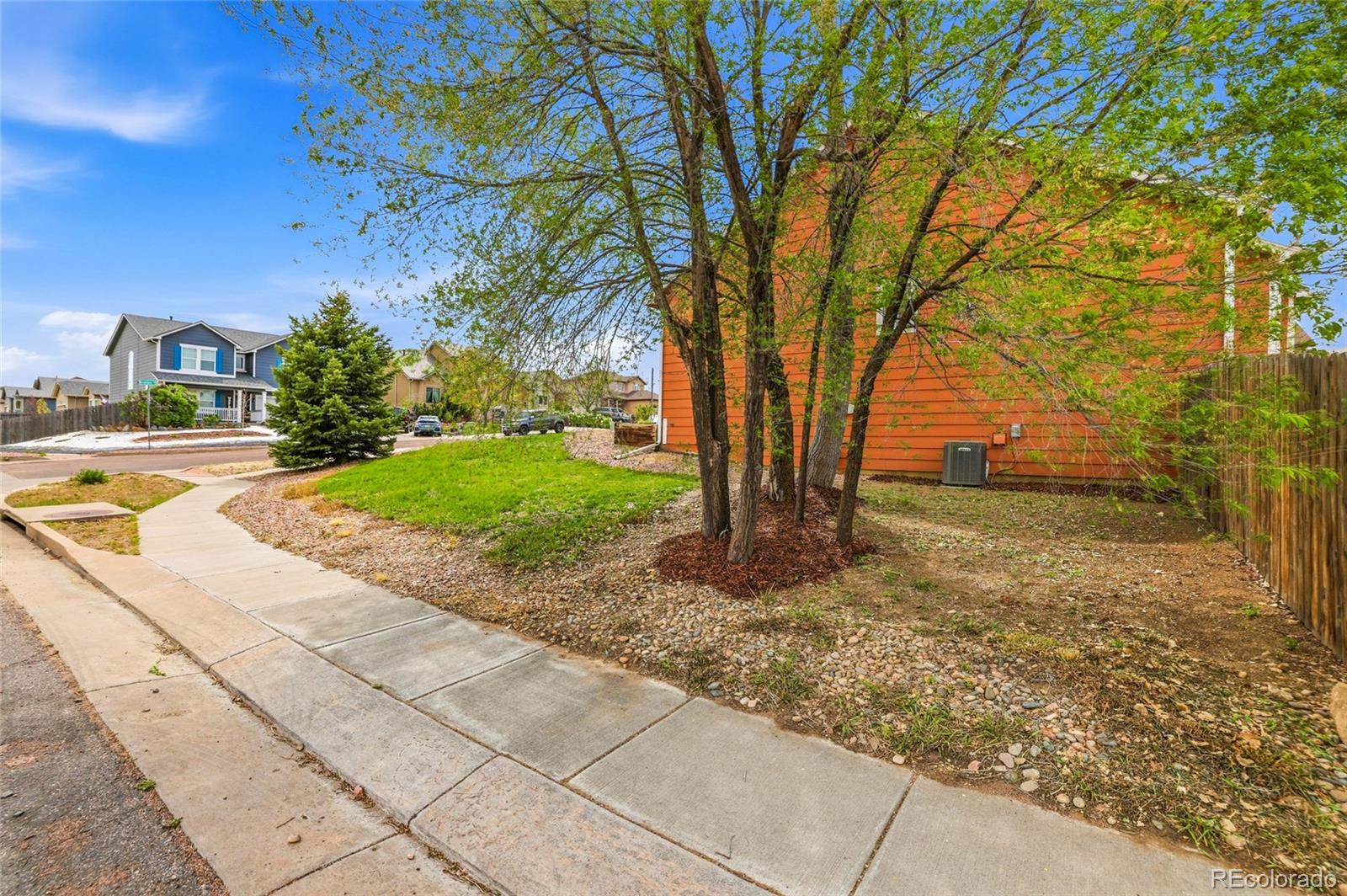 MLS Image #5 for 2796  brookline court,colorado springs, Colorado