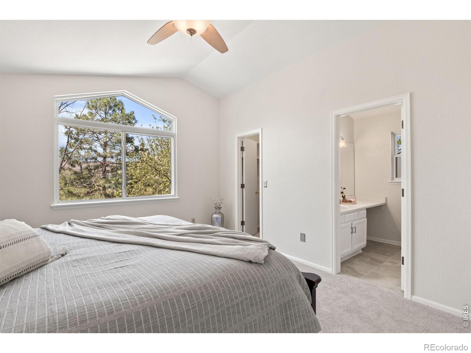 MLS Image #23 for 311 s lark avenue,louisville, Colorado