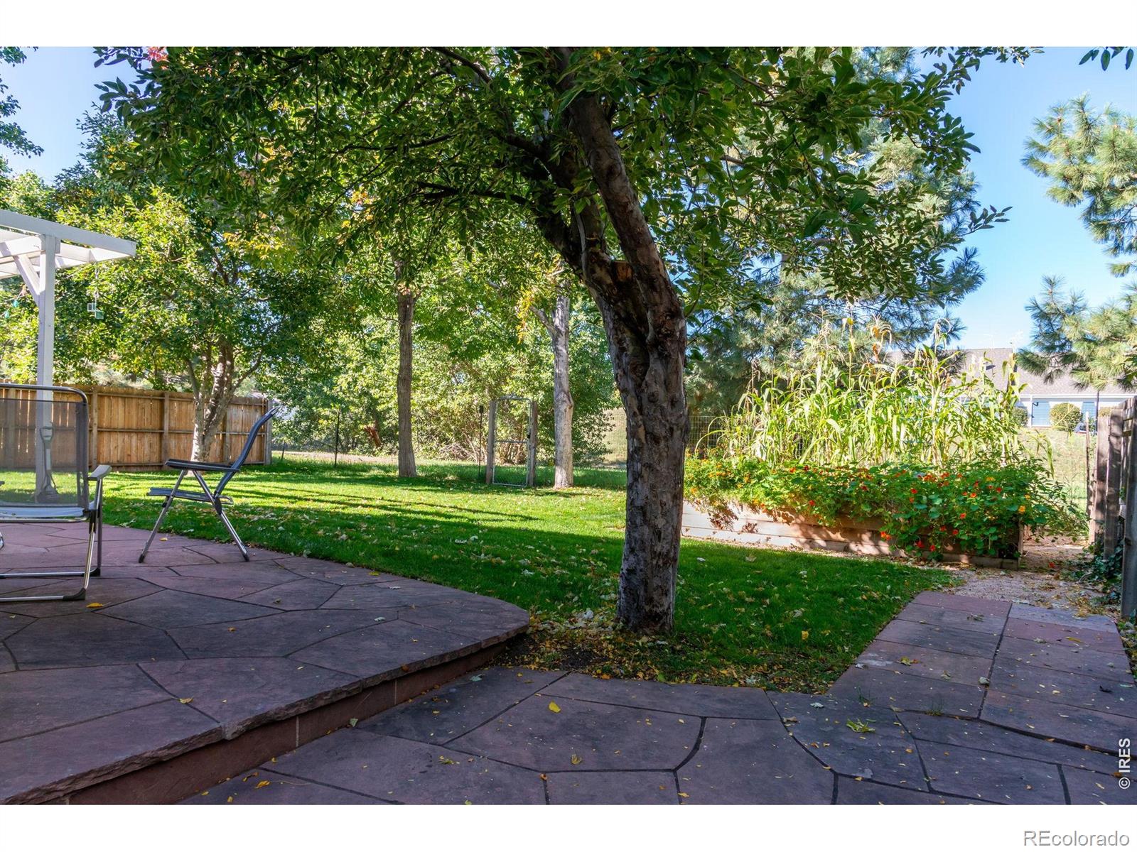 MLS Image #36 for 311 s lark avenue,louisville, Colorado