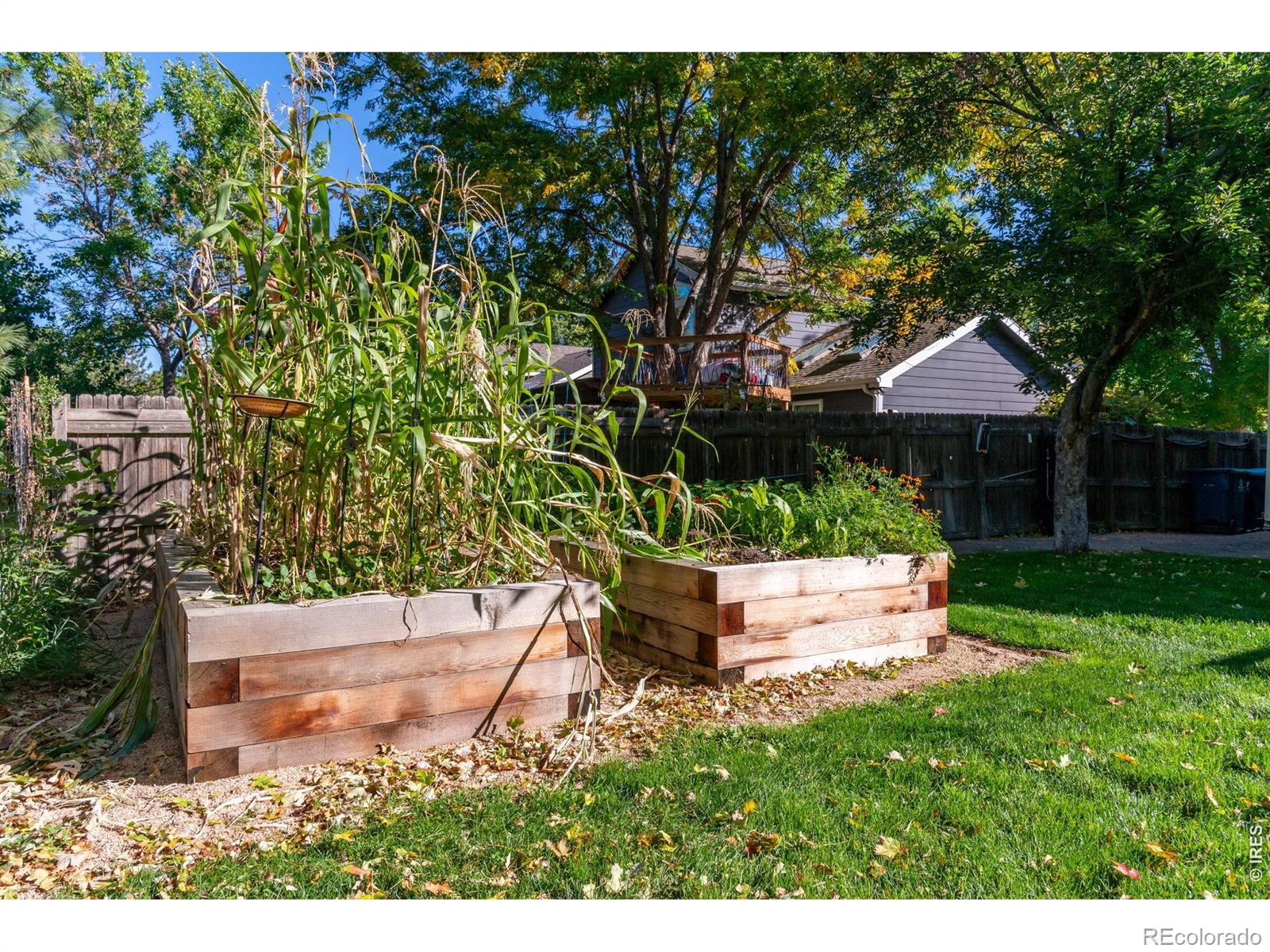 MLS Image #37 for 311 s lark avenue,louisville, Colorado