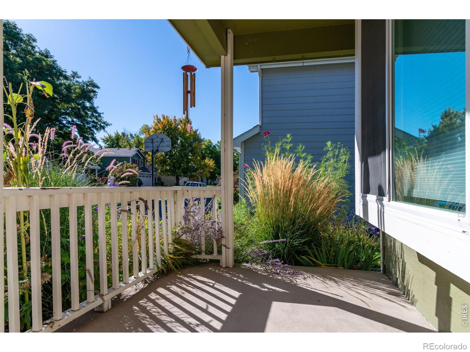 MLS Image #4 for 311 s lark avenue,louisville, Colorado