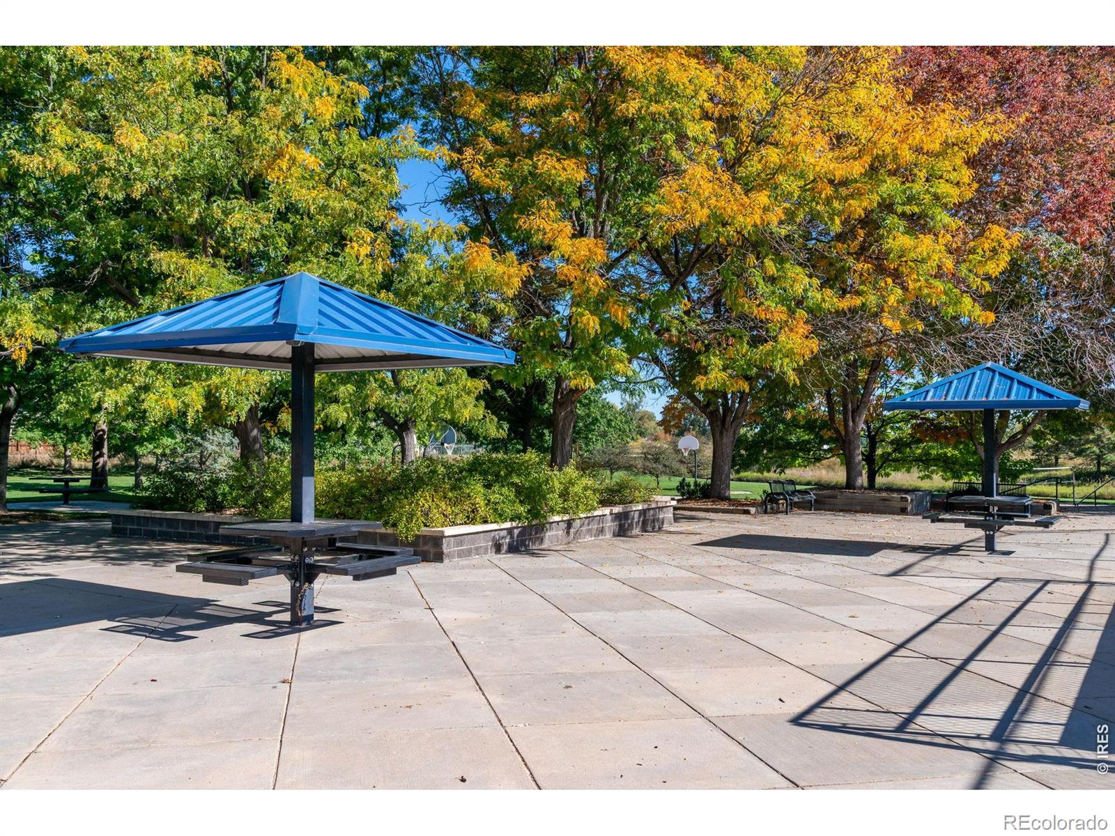 MLS Image #44 for 311 s lark avenue,louisville, Colorado