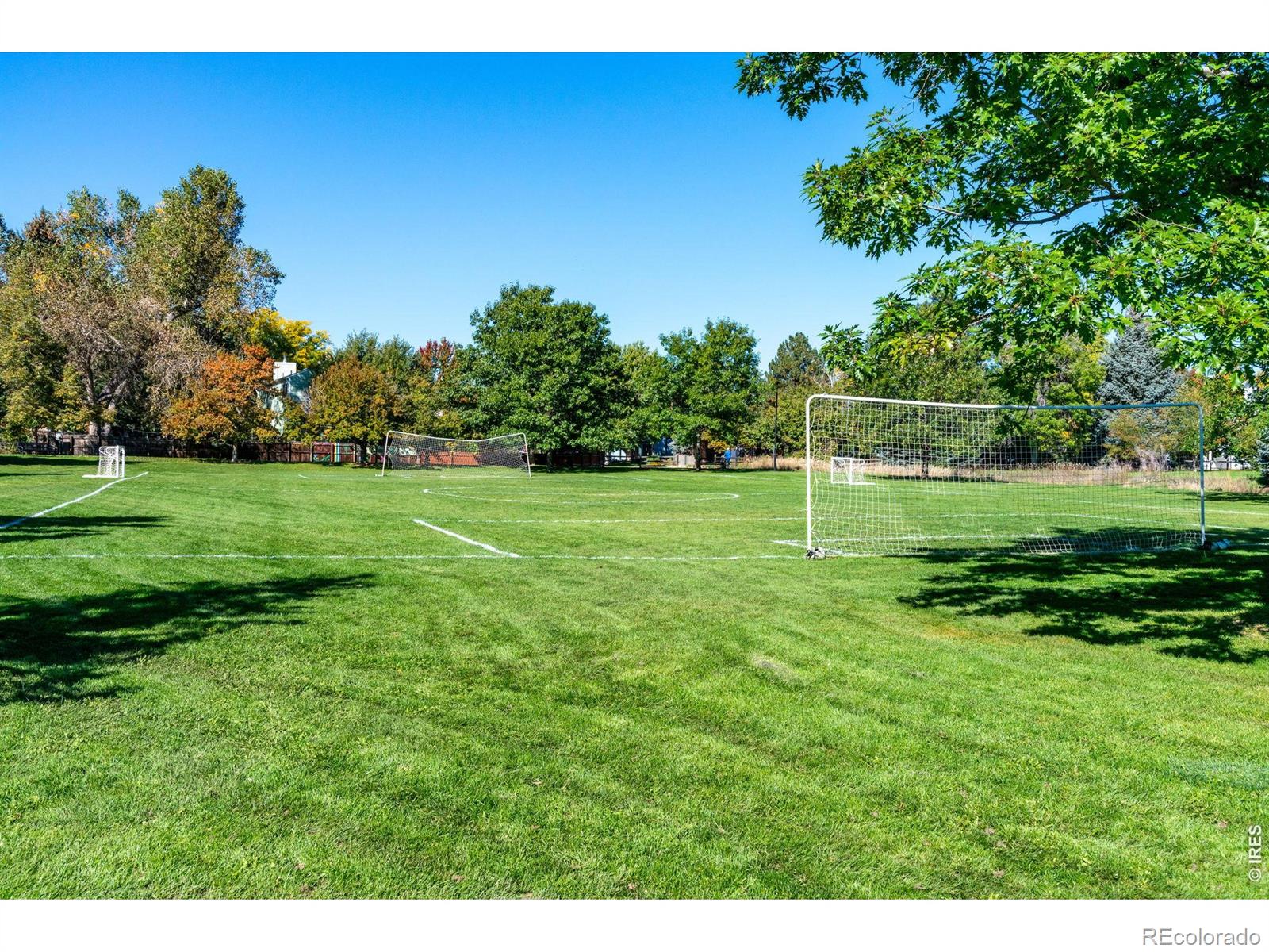 MLS Image #45 for 311 s lark avenue,louisville, Colorado