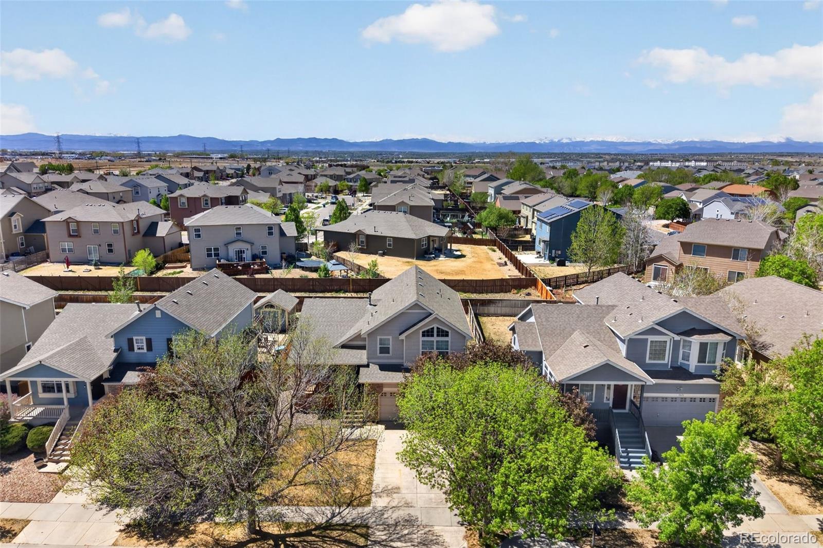 MLS Image #27 for 10481  tucson street,commerce city, Colorado