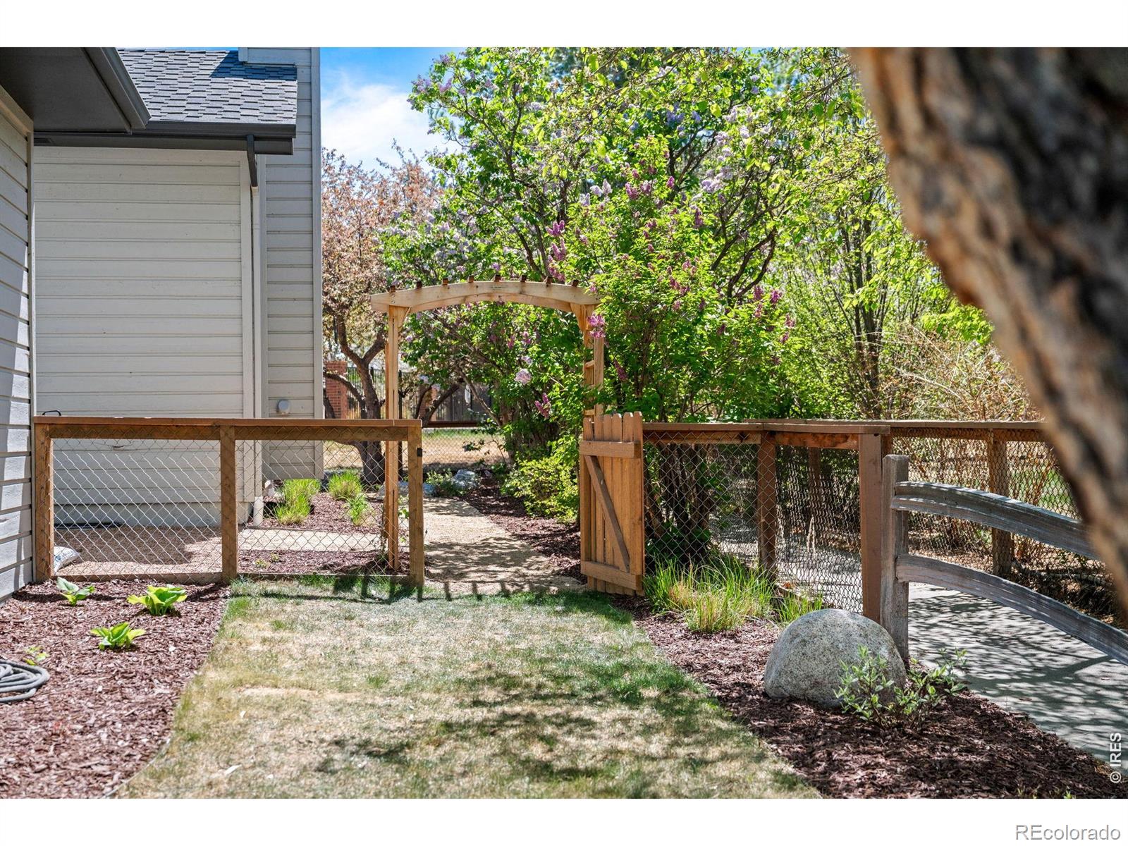 MLS Image #31 for 682 w hickory street,louisville, Colorado