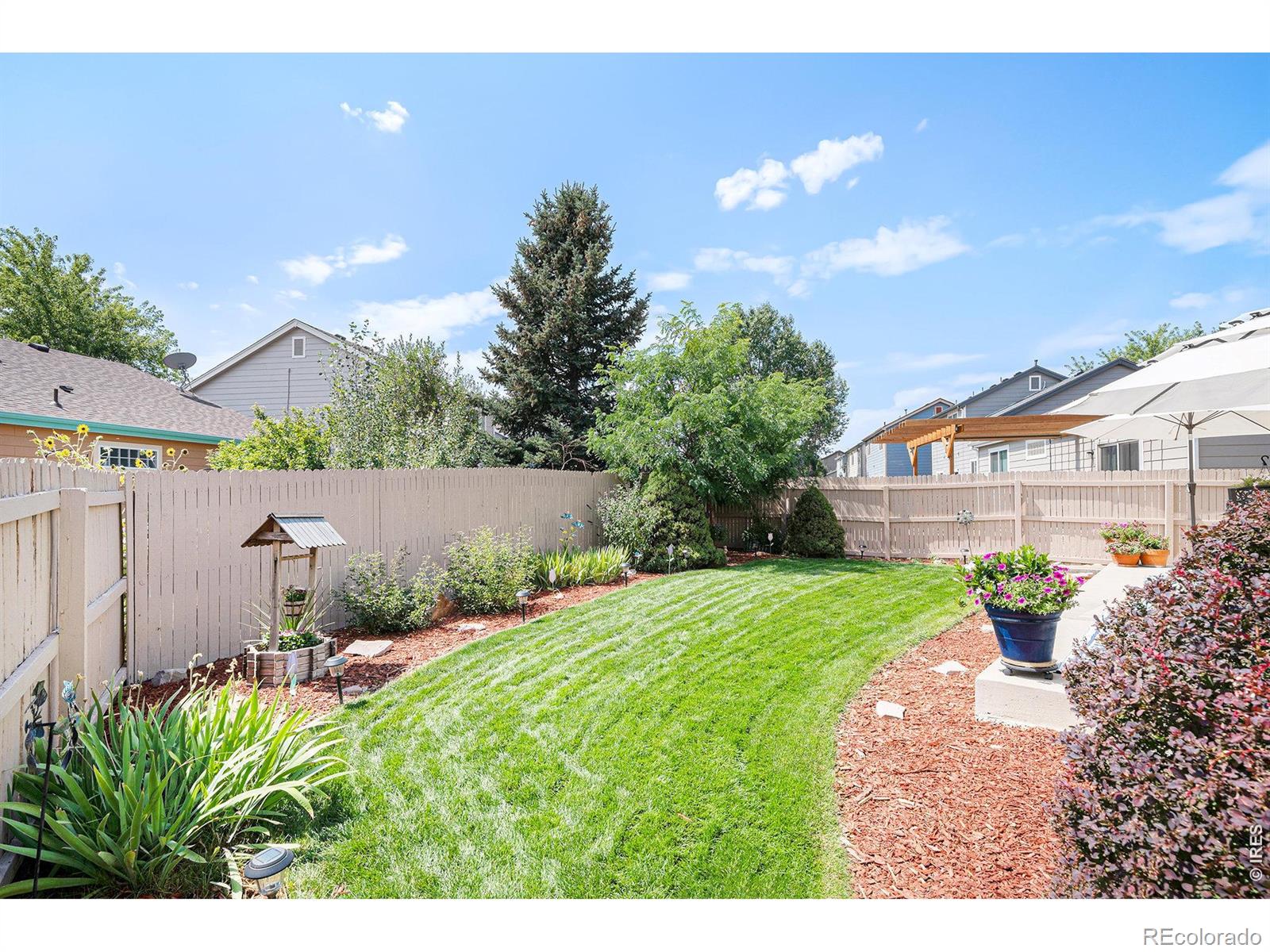 MLS Image #5 for 5418  suffolk circle,castle rock, Colorado
