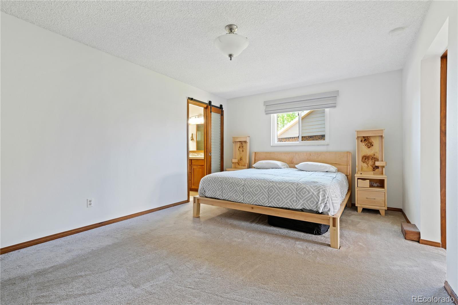 MLS Image #19 for 11308 w 74th place,arvada, Colorado