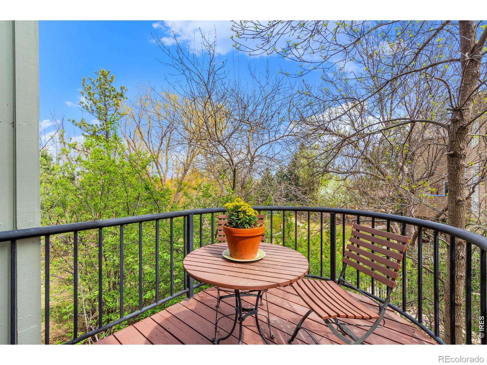 MLS Image #10 for 516  spring canyon court,fort collins, Colorado