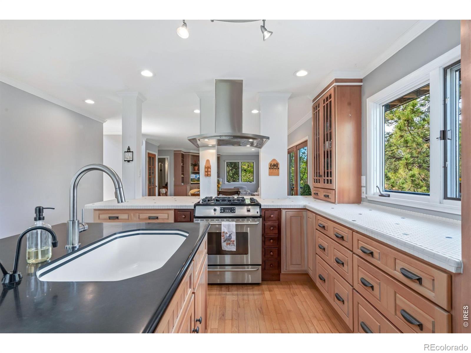 MLS Image #14 for 516  spring canyon court,fort collins, Colorado
