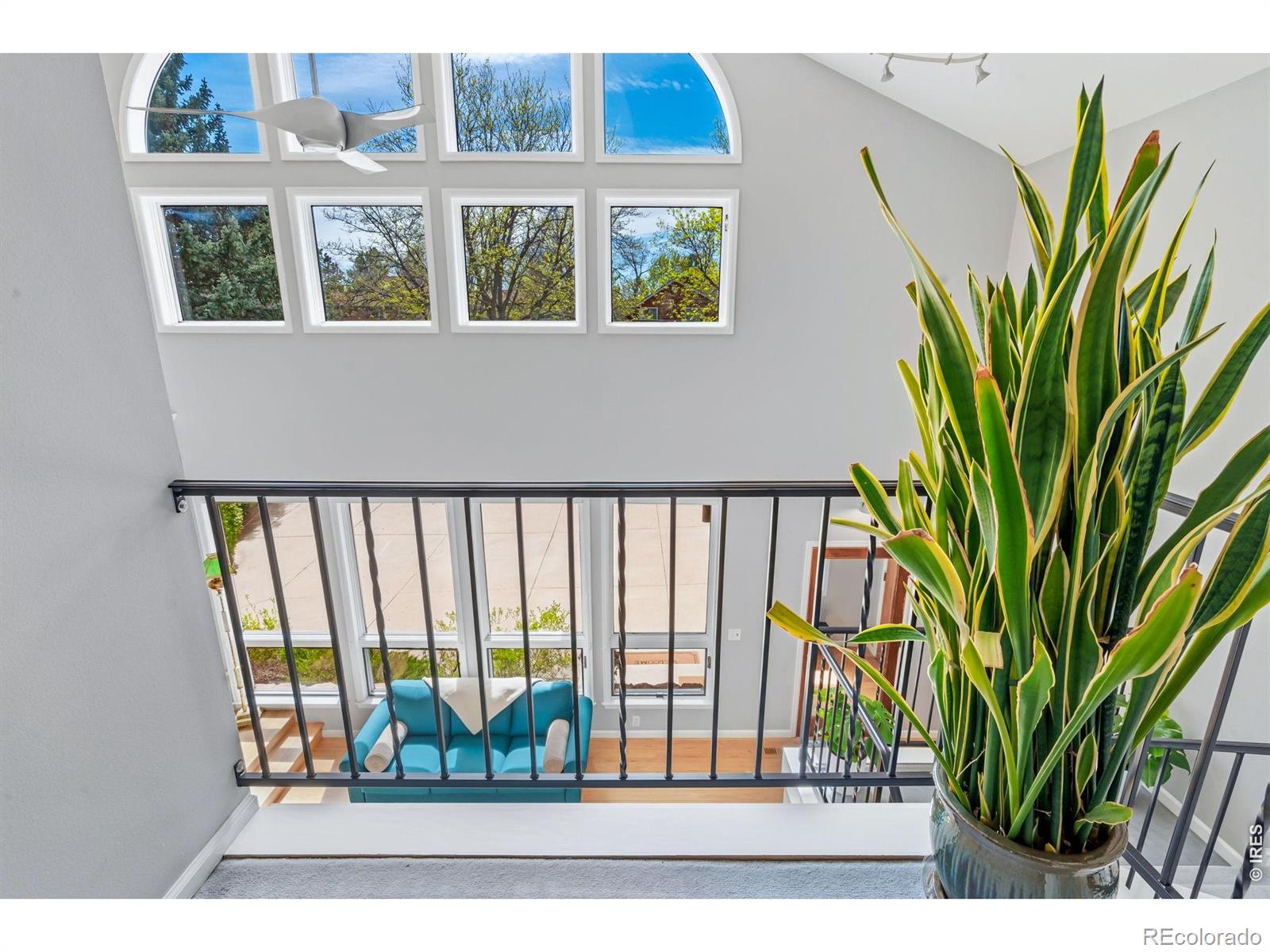 MLS Image #26 for 516  spring canyon court,fort collins, Colorado
